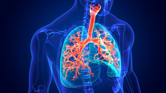 Línea Respiratoria